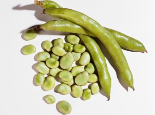 Fava Bean